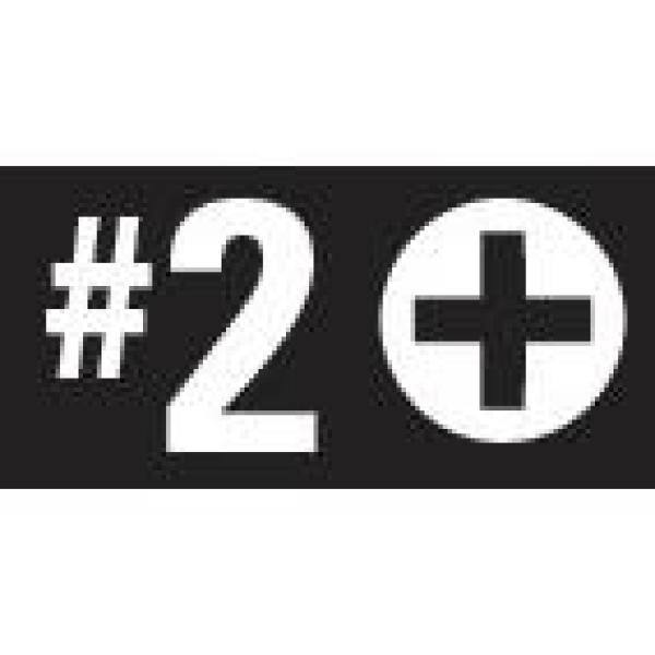 148 mm Philips #2 Screw Gun Bit (2-Pack) for RIDGID Screw Gun R86630